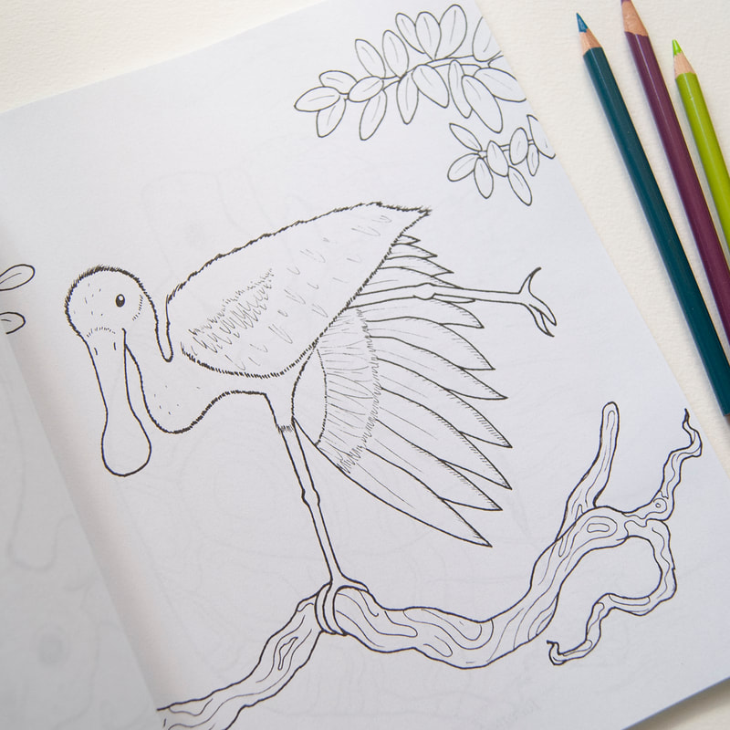 Roseate Spoonbill Coloring Page