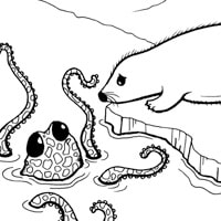 octopus and seal coloring page