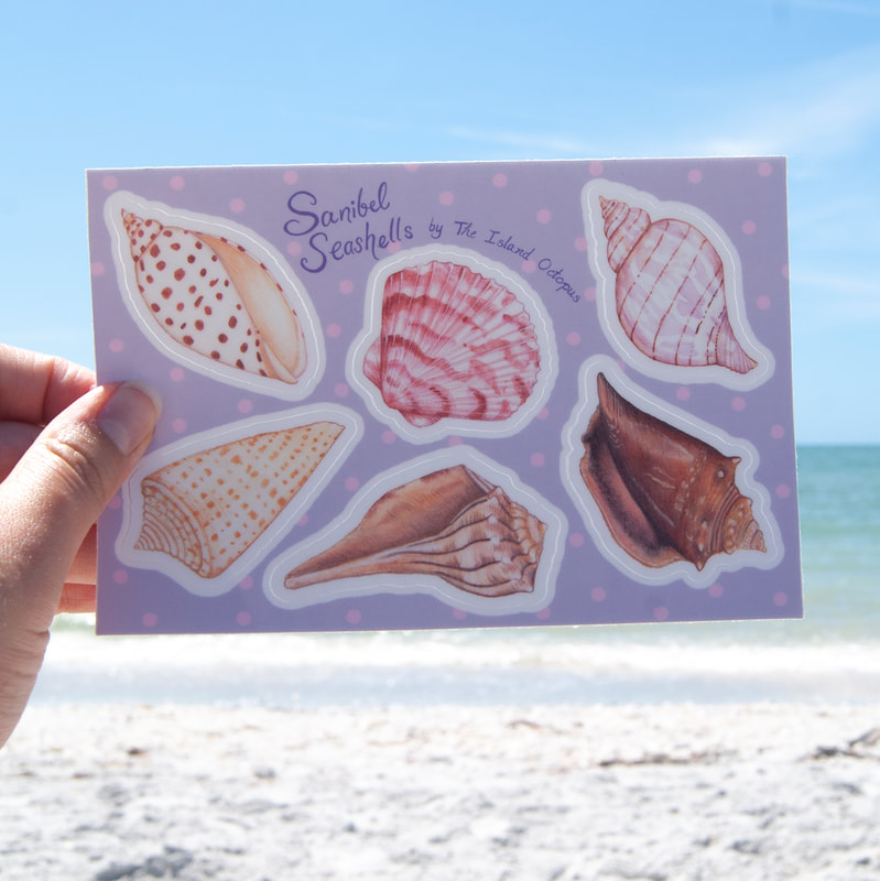 Sanibel Seashells Stickers